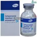 711-1b-m-911-global-meds-com-to-buy-brand-magnamycin-1000-mg-injection-of-pfizer-online.webp