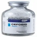 711-2b-m-911-global-meds-com-to-buy-brand-magnamycin-2000-mg-injection-of-pfizer-online.webp