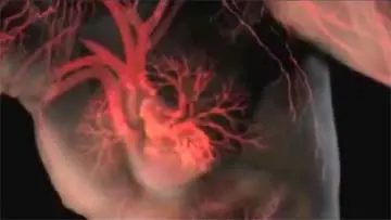 Methoxy Polyethylene Gycol Epoetin Beta Mircera Medication Patient Information video thumbnail