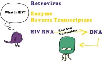 Zidovudine Retrovir Medication Patient Information video thumbnail