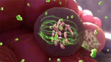 Cabazitaxel Jevtana Medication Patient Information video thumbnail